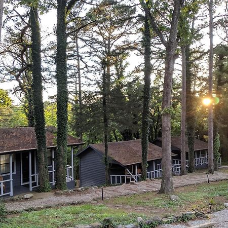 Adventure Cabin 5 - King W Private Hot Tub Villa Eureka Springs Exterior foto